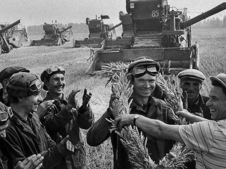 «Крепостные» колхозники в СССР: им не давали паспорта и запрещали уезжать из деревни, — обо всем, по порядку…